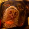 Slumdog8's profile picture