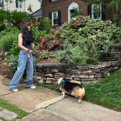 Enk's profile picture