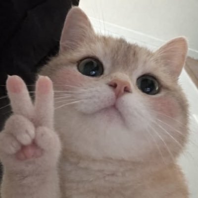 tm's profile picture