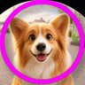 cafeラヴコ's profile picture