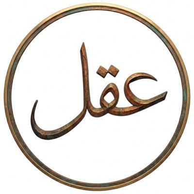 aldelaimi_1's profile picture