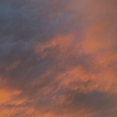 XL263's profile picture