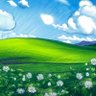ロト牛(ろとぎゅう)'s profile picture