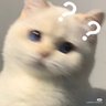 レイミ's profile picture