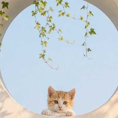 Hana's profile picture
