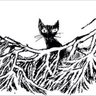 kiki's profile picture