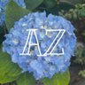 アズギア-AZ's profile picture