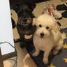 Profilbild von loi&tatti