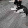 Tapar profil fotoğrafı