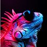Iguana Paranoide 🇻🇪 profil fotoğrafı