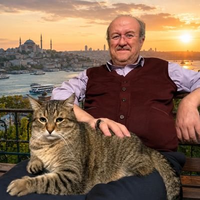 MDogramaci34's profile picture