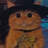 Profilbild von Mack