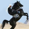حمد فيصل بوعبدالله profil fotoğrafı