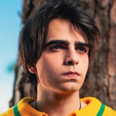 TheLucasAmorim's profile picture