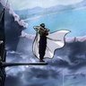 Keizan Hunter's profile picture