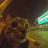 ra's profile picture