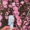 夏いらぬ🎐 profil fotoğrafı