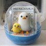 ひろつき🐤's profile picture