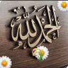بندر profil fotoğrafı