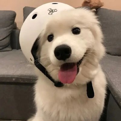 cco12345d's profile picture