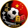 Football en chinois ⚽🇨🇳 的头像