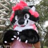 AstroTheRaccoon's profile picture