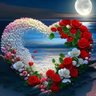 rose 的头像