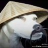 lord ufc's profile picture