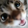Profilbild von agos ⭐⭐⭐