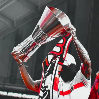 VERMILION's profile picture