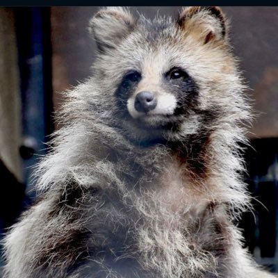 waterflower_'s profile picture