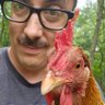 David Korn profil fotoğrafı