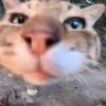 Рашим's profile picture
