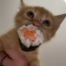 Serein 的头像