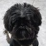 maia's profile picture