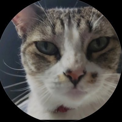 Minafn3's profile picture