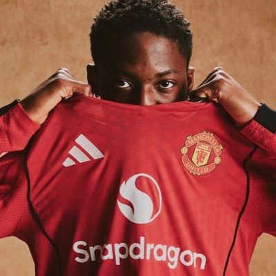 🇵🇹🇧🇷🇰🇷's profile picture