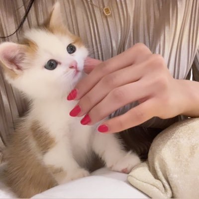 aa8sxj's profile picture
