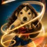 Wonder Woman profil fotoğrafı