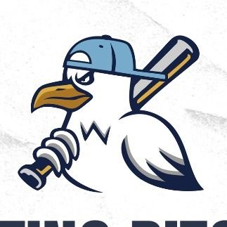 SylvanLakegulls's profile picture