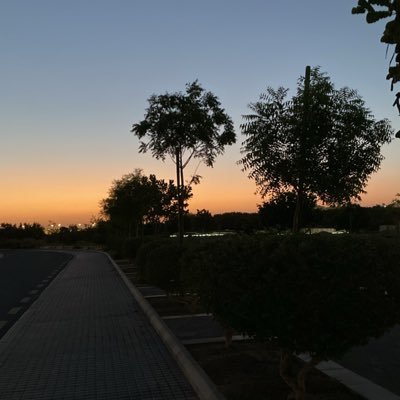 srkxr's profile picture