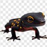 владимир иванов profil fotoğrafı