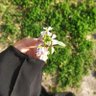 اشواق 的头像