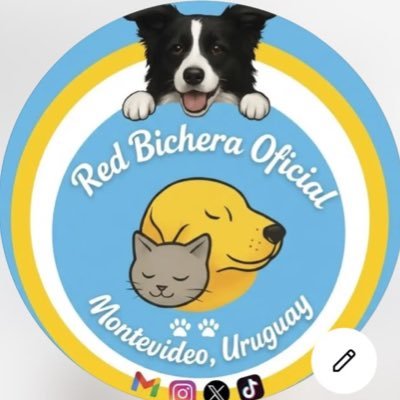 redbicheraof's profile picture