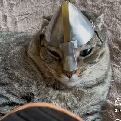 theMrSoggyGuy's profile picture