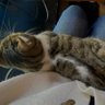 a profil fotoğrafı