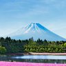 カツサンド。2 profil fotoğrafı