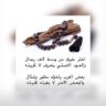 الفلاحي profil fotoğrafı