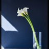 K☆S profil fotoğrafı