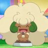 Whimsicott Enjoyer 的头像